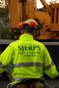 Sjerps Boomverzorging - 129252018454cf85711b1b8